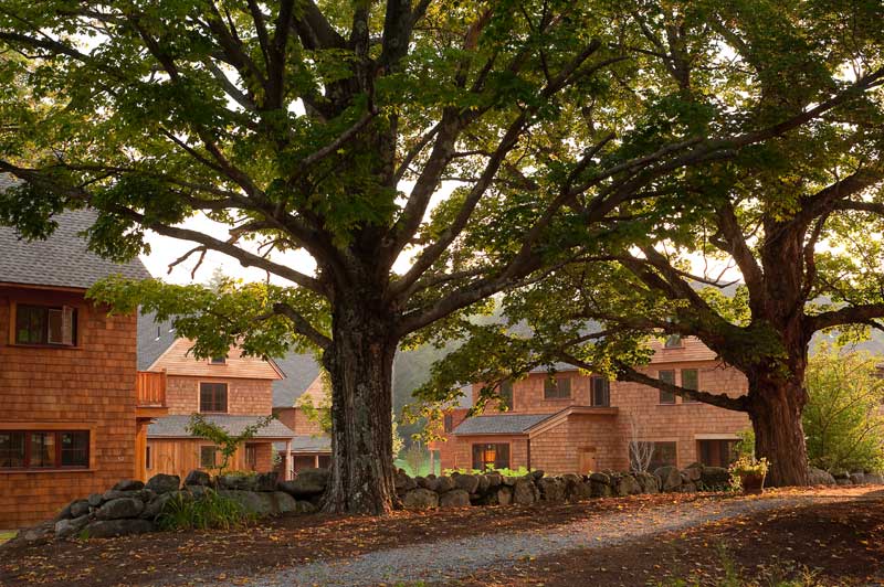 What Makes Architecture Timeless?